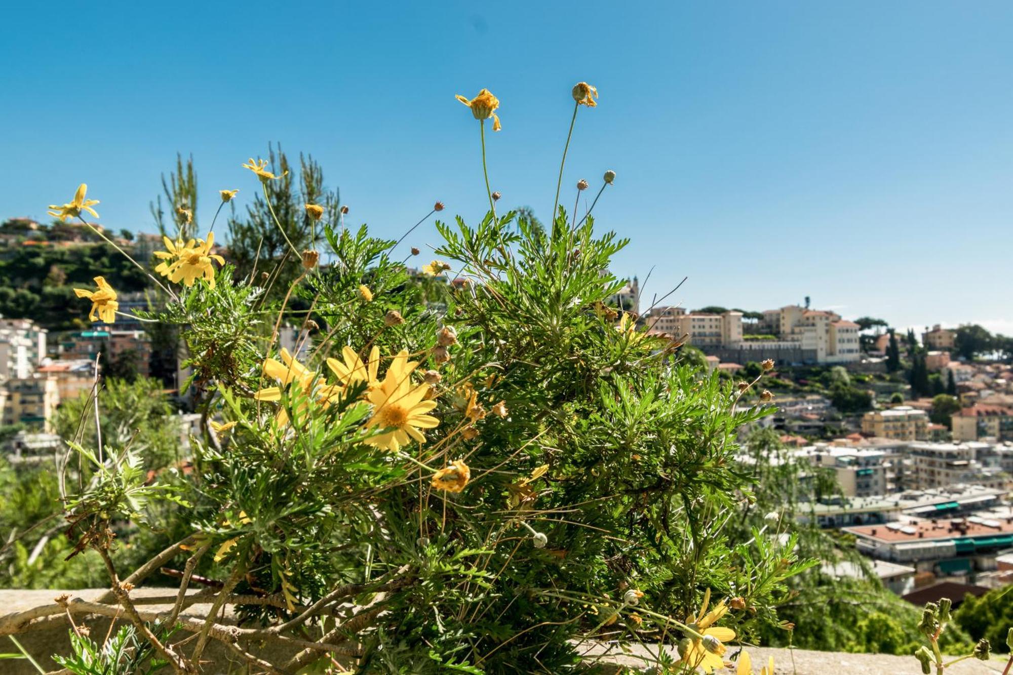 Apartamento Stupendo Trilocale Posto Auto Gratuito - Wifi & Netflix San Remo Exterior foto